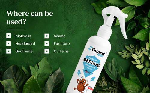 Natural BedBug Repellent Spray  - Pack of 1
