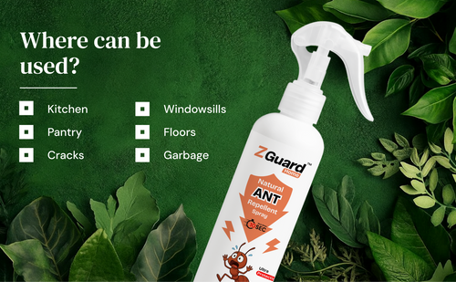Natural Ant Repellent Spray  - Pack of 1