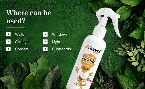 Natural Lizard Repellent Spray  - Pack of 1