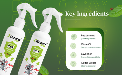 Natural Rat Repellent Spray  - Pack of 1