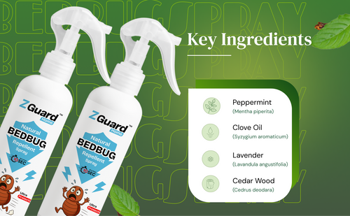 Natural BedBug Repellent Spray  - Pack of 1