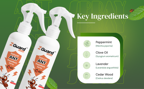 Natural Ant Repellent Spray  - Pack of 1