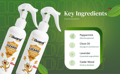 Natural Lizard Repellent Spray  - Pack of 1