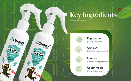 Natural Leech Repellent Spray  - Pack of 1